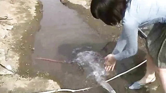 جوزا آنا ، کومگار ، با دانلود کلیپ سکس سوپر کوبیدن نژادی گسترش می یابد