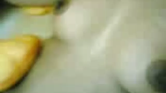 عزیزم شاخ خجالتی به یک دیک دانلود عکس های سوپر سکسی در گربه خود احتیاج دارد